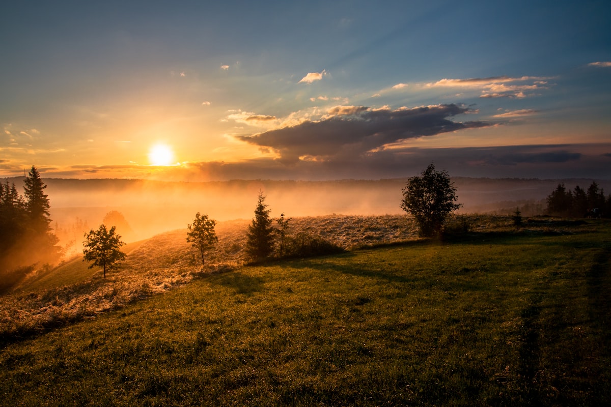 Bright morning light as the strongest cue for a wakeful, focused brain