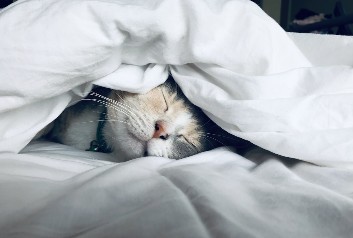 Calm evening rest